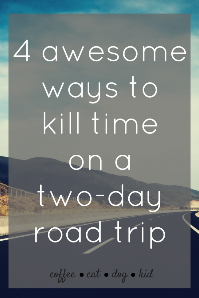 CoffeeCatDogKid | 4 awesome ways to kill time on a two-day road trip